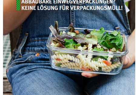 Das Cover der Publikation