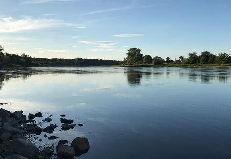 Die Elbe im Abendlicht mit blauem Himmel und grünen Bäumen.