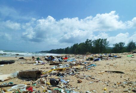 Plastic waste on a beach.