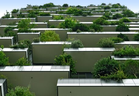 Bioinspirierte Siedlungsentwicklung und Architektur