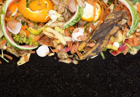 Hochwertige Verwertung: der Weg vom Bioabfall zum Kompost 