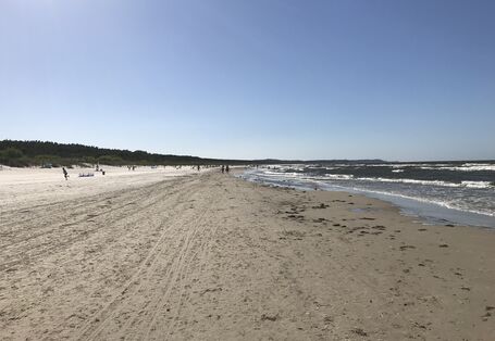 Der Ostseestrand im Vordergrund, im Hintergrund das Meer