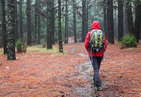 Eine Person mit Outdoorkleidung läuft durch einen regnerischen Wald.