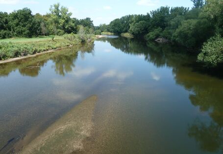 Ein Fluss mit Bäumen 