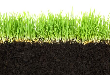 Boden im Querschnitt