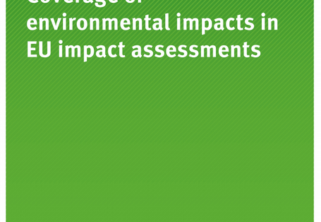 Das Cover der Publikaiton