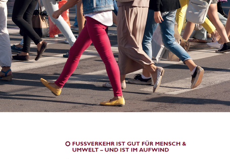 Das Cover der Publikation