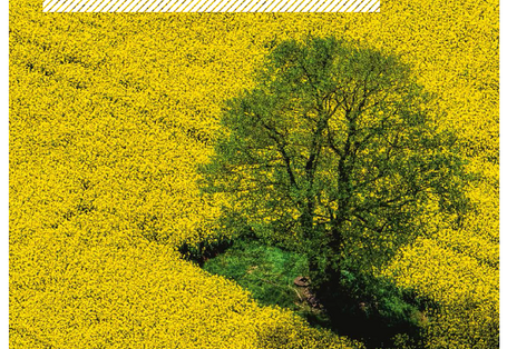 The cover of the publication