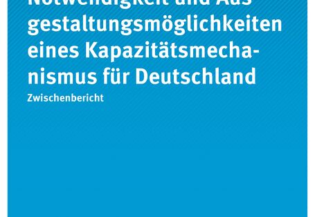Publikation:Notwendigkeit und Ausgestaltungsmöglichkeiten eines Kapazitätsmechanismus für Deutschland - Zwischenbericht