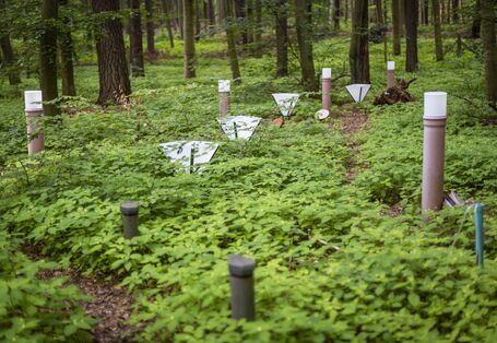 Measuring devices in the forest
