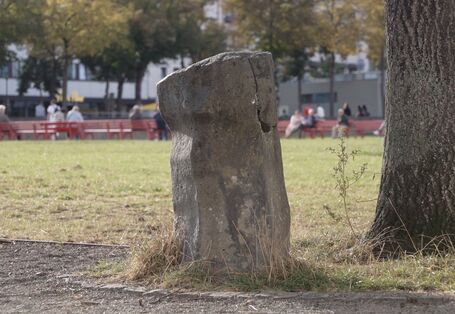 Ein Baum und daneben ein Stein