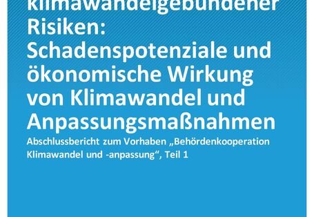 Cover_CC_29-2020_Bewertung_klimawandelgebundener_Risiken_Teilbericht_1