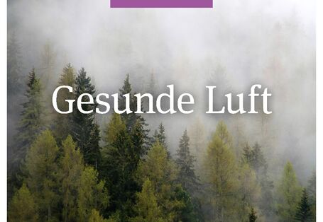 Titelbild. Nebel über dichtem Waldstück. Schwerpunkt 1-2019: Gesunde Luft