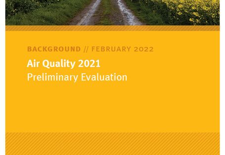 Field path with yellow flowers on the sides