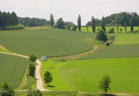 Grüne Wiesenlandschaft mit ein paar Pfaden