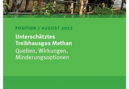 Kühe in einem Stall