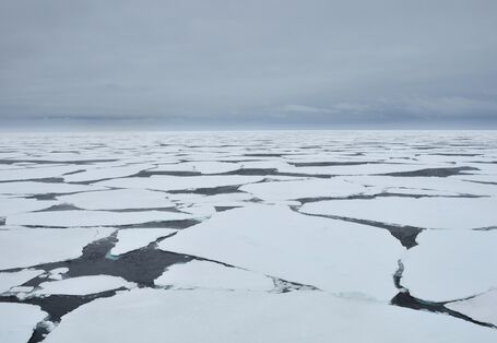 Viele Eisschollen schwimmen auf dem arktischen Meer.