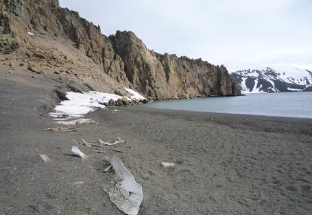 Impressive evidence of geomorphological processes can be seen along craggy cliffs