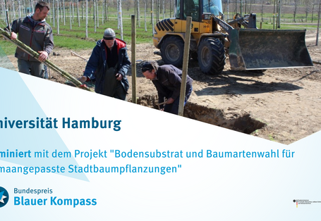 Die unterschiedlichen Baumarten werden in die vorbereiteten Pflanzgruben gepflanzt.