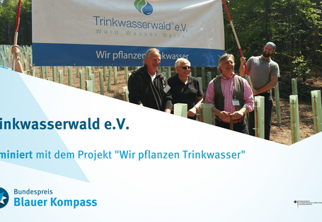 Eine Kalamitätsfläche wurde mit Laubbäumen bepflanzt, die gleichzeitig gegen Verbiss geschützt wurden
