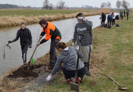 Das Bild zeigt Helfer*innen an einem Graben, die mit Schaufeln Erde am Ufer abtragen und mit dieser Maßnahme für Schattenplätze sorgen. 