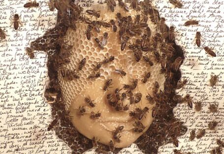 Kunstwerk aus Wachsgesichtern & Bienen