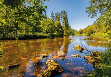 Das Bild zeigt ein flaches, langsam fließendes Gewässer bei sonnigem Wetter und wolkenlosem Himmel. Durch das klare, rotbräunlich schimmernde Wasser des Flusses ist das steinige Gewässerbett zu sehen, einige Steine ragen im Vordergrund über die Wasseroberfläche hinaus. Die Ufer sind von Mischwäldern gesäumt.