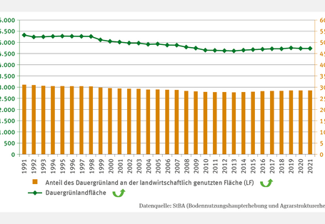 Die Abbildung BO-R-2 "Dauergrünlandfläche" zeigt eine Grafik mit der Fläche des Dauergrünlands (in 1000 Hektar) und dessen Anteil an der landwirtschaftlich genutzten Fläche (1991–2021). Beide Zeitreihen zeigen eine Trendumkehr hin zu einem Anstieg. Die Fläche sank von 5,3 Mio. Hektar (1991) auf 4,6 Mio. Hektar (2013) und lag 2021 bei 4,7 Mio. Hektar. Der Anteil fiel von 31 % auf 28 % und beträgt aktuell 29 %.