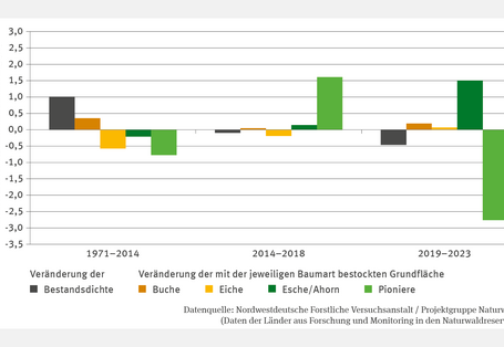 Das Säulendiagramm FW-I-1 "Baumartenzusammensetzung in Naturwaldreservaten – Fallstudie" zeigt die jährliche Veränderung der Bestandsdichte und der bestockten Fläche mit Buche, Eiche, Esche/Ahorn und Pionierbaumarten in Prozent für 1971–2014, 2014–2018 und 2019–2023. Die Bestandsdichte stieg bis 2014 leicht, nahm danach ab. Die mit Buche bestockte Fläche wuchs stetig, Eiche schwankte, Esche/Ahorn nahm zuletzt um 1,5 % zu. Pionierarten stiegen zunächst, reduzierten sich 2019–2023 jedoch stark um 2,8 %.
