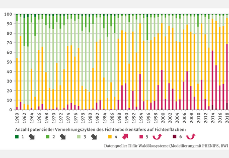 Das Stapelsäulendiagramm FW-I-6 „Gefährdete Fichtenbestände“ zeigt von 1960 bis 2021 den Anteil der Fichtenflächen in Deutschland mit 1 bis 6 potenziellen Vermehrungszyklen des Fichtenborkenkäfers. Bis Ende der 1980er-Jahre dominierten 3 bis 4 Zyklen. Ab den späten 1980er-Jahren traten zunehmend 5 Zyklen auf. 2014 und 2018 erreichte der Anteil mit 5 Zyklen 60 % bzw. 70 %, bei 6 Zyklen rund 5 %. Der Anteil mit 1–3 Zyklen sank signifikant, während 4 und mehr Zyklen stark zunahmen.