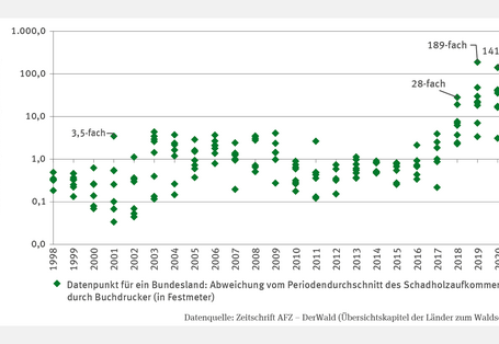 Dargestellt ist in einer Linien-Grafik die mittlere Kronenverlichtung in Prozent für den Gesamtwald sowie die Baumarten Fichte, Kiefer, Buche und Eiche für den Zeitraum 1991 bis 2017. Für die Buche gibt es einen signifikant steigenden Trend, für die Eiche ist er quadratisch fallend. Für die übrigen Baumarten und den Gesamtwald gibt es keinen Trend. 