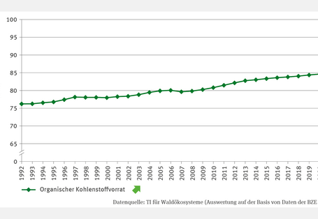 Die Abbildung zeigt für den Zeitraum von 1992 bis 2021 in Form eines Liniendiagramms die jährlichen Vorräte organischen Kohlenstoffs in Waldböden in Tonnen pro Hektar. Im Betrachtungszeitraum haben die Kohlenstoffvorräte kontinuerlich und signifikant von rund 75 Tonnen pro Hektar auf 85 Tonnen pro Hektar zugenommen,