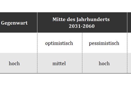 Beispiel für die Bewertung der Klimawirkung Hitzebelastung