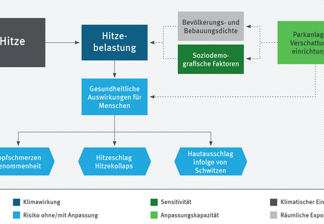Beispiel für eine Wirkungskette zur Klimawirkung Hitze