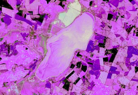 Das Bild zeigt eine Luftaufnahme eines Sees, dessen Oberfläche durch die Frühjahrsalgenblüte stellenweise leuchtend grün gefärbt ist. Im Umfeld des Sees sind landwirtschaftliche Nutzflächen sowie Siedlungsflächen zu erkennen.