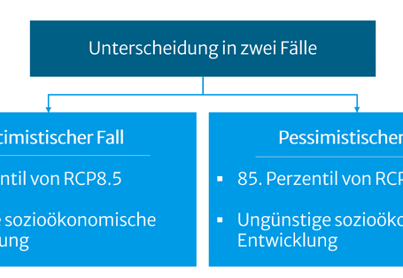 Die Abbildung zeigt die Unterscheidung der Zukunftsaussagen in einen optimistischen und einen pessimistischen Fall.