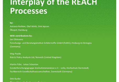 Cover of publication TEXTE 80/2021 Advancing REACH: Interplay of the REACH Processes