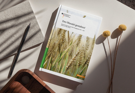 Getreideähren auf einem Titelbild