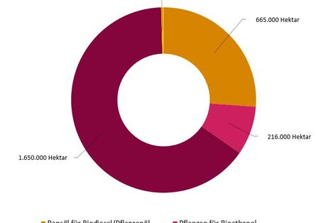 Die Grafik stellt die Anbaufläche für Energiepflanzen in Deutschland 2022 dar. Die meiste Fläche für Pflanzen für Biogas genutzt (1650000 Hektar), gefolgt von Rapsöl für Biodiesel/Pflanzenöl (665000 Hektar), Pflanzen für Bioethanol (216000 Hektar) und Pflanzen für Festbrennstoffe (11000 Hektar).