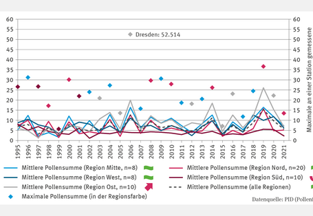Die Grafik „Belastung mit Birkenpollen“ zeigt die mittlere Jahressumme in Tausend Pollen pro Quadratmeter Luft von 1995 bis 2021 für die Regionen Mitte, Nord, Ost, Süd, West und den Durchschnitt. Die Werte liegen zwischen zwei- und zwanzigtausend. In der Region Ost stiegen sie 2006, 2014 und 2019 über zwanzigtausend. Signifikant steigende Trends bestehen in Ost und Süd. Höchstwert: Dresden im Jahr 2006 mit 52.514 Pollen pro Quadratmeter Luft.