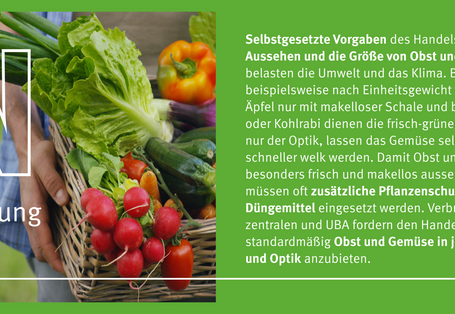 Eine Grafik mit einem Bild und Text. Es handelt sich hier um das Thema Nahrung. 