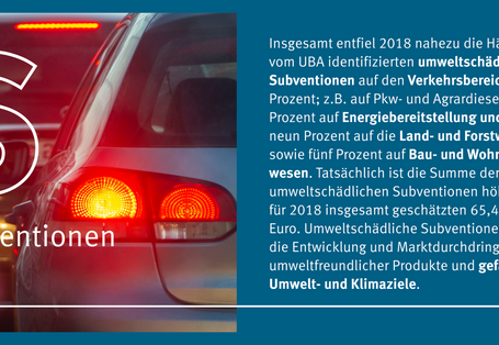 Eine Grafik mit einem Bild und Text. Es handelt sich hier um das Thema Subventionen.