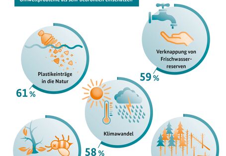 Grafik der Umweltbewusstseinsstudie 2022 zum Thema Umweltprobleme 