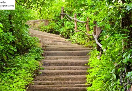 Treppe aufwärts, Weg grün.