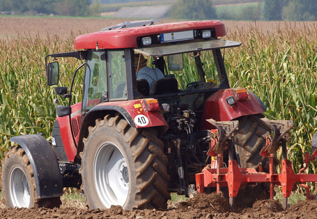 Die Braunerde. Eine von vielen starken Bodentypen