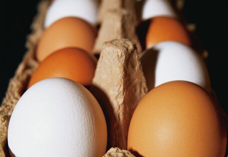 braune und weiße Eier im Karton