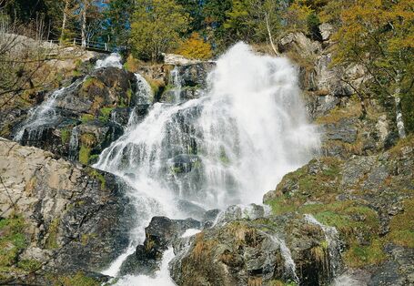 Wasserfall von einem großen Felsen mit vielen Bäumen im Hintergrund