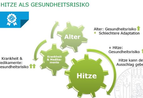 Hitze als Gesundheitsrisiko © Klinikum der Universität München
