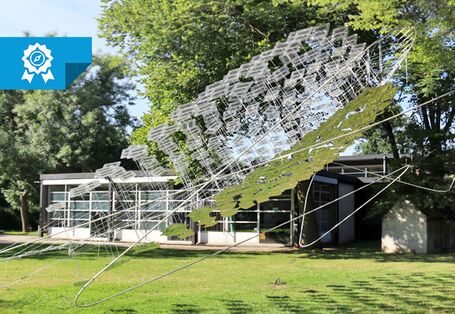 Fotografie des Solar Spline. Eine geschwungene Konstruktion aus eckigen Photovoltaik-Modulen, die durch Draht miteinander verbunden sind.