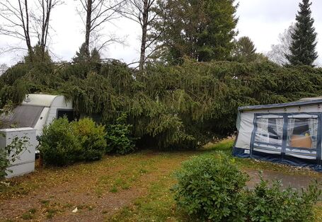 Ein Tannenbaum liegt von links nach rechts quer über einen Wohnwagen, Weg und einem Vordachzelt. Im Hintergrund stehen unbelaubte Bäume vor grauem Himmel.